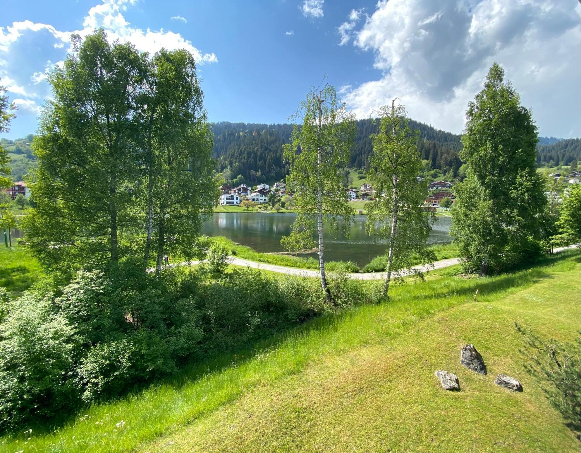 Lakeside - 3.5 Zimmer Ferienwohnung Am Laaxersee Exterior photo